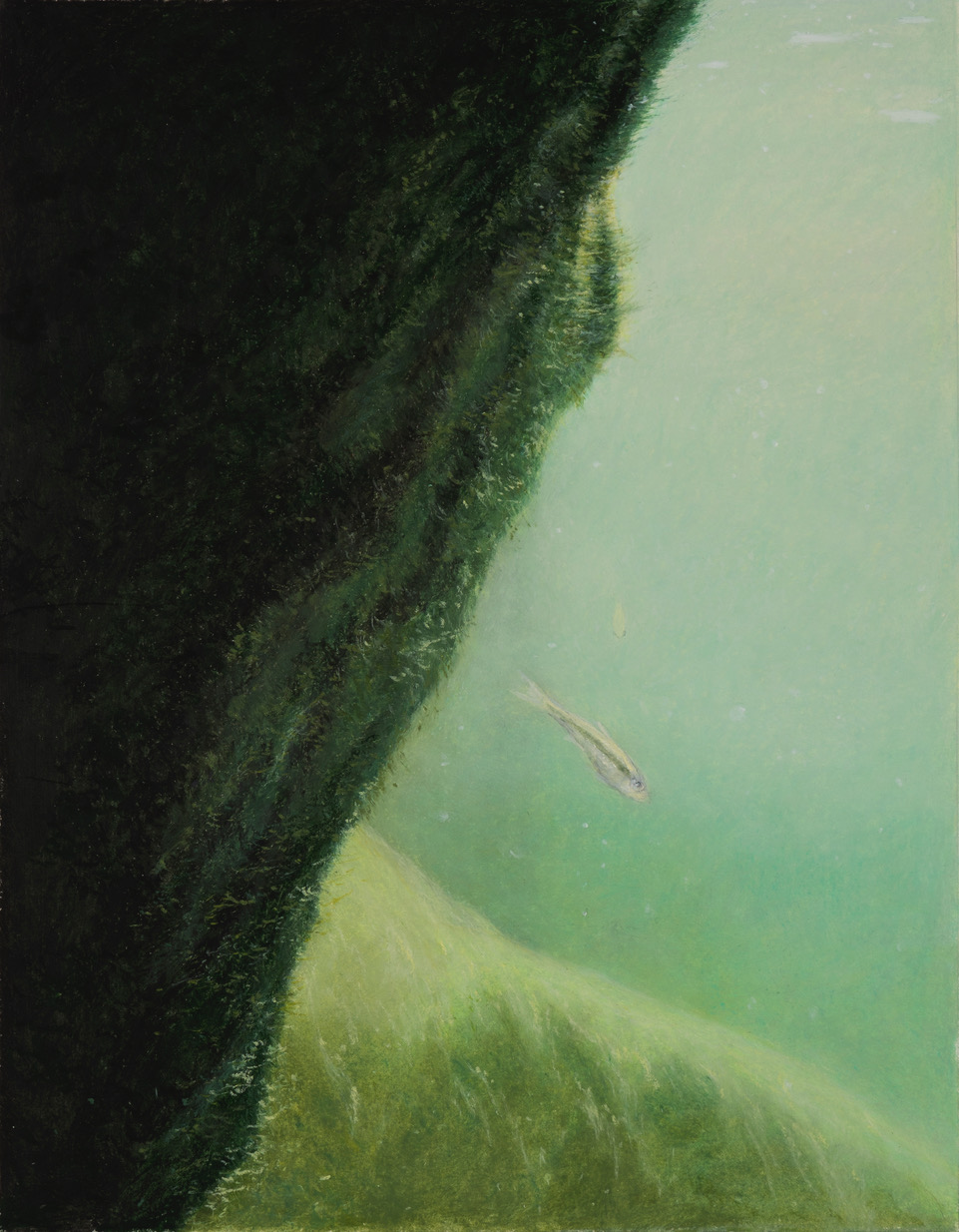 Dépt 07 Le Chassezac XIX