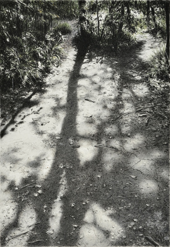 Bois_de_Pailove8