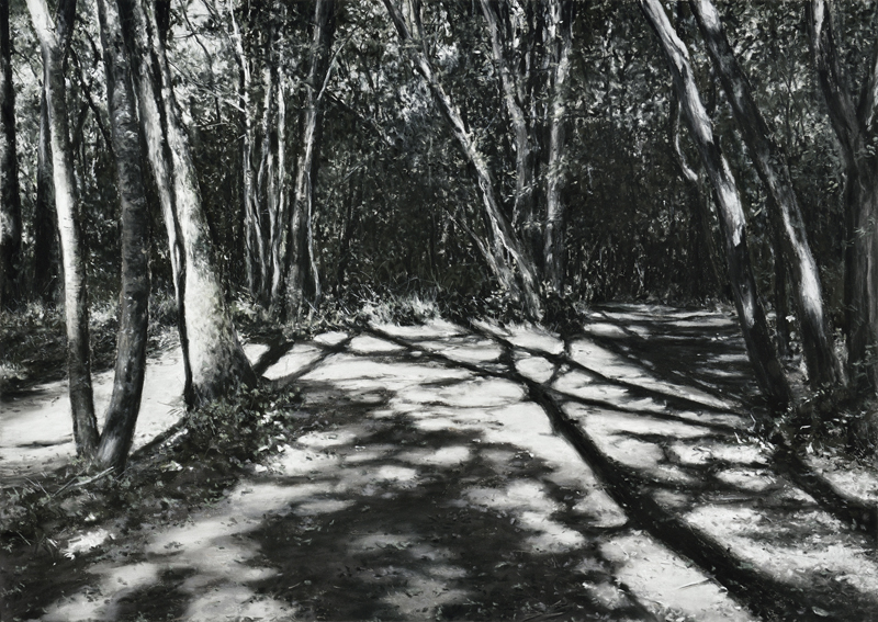 Bois de Païolive V